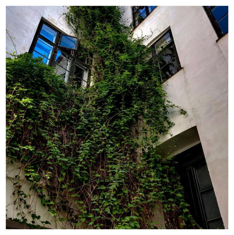 Beautiful Studio Apartment In The Heart Of โคเปนเฮเกน ภายนอก รูปภาพ